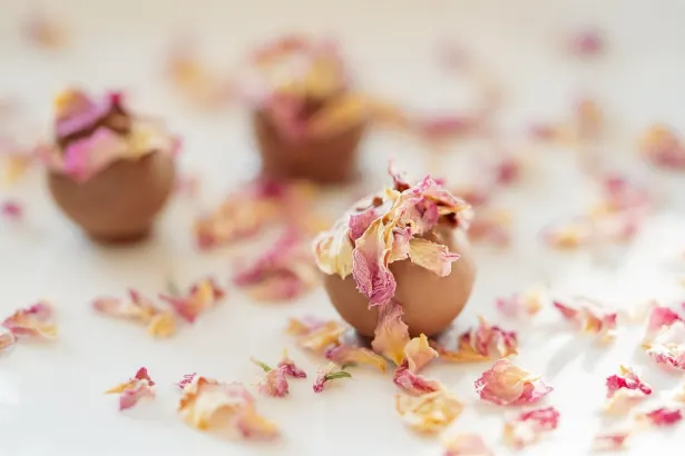 Moon Cazino Cazinou Aplicație Android/iOS